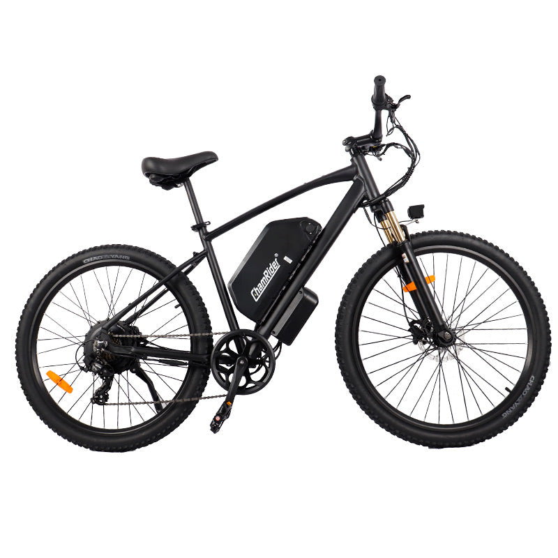 e-mountain bike